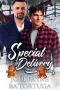 Special Delivery · A Wrecked Holiday Novel