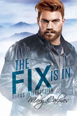 The Fix Is In: Torus Intercession Book Four