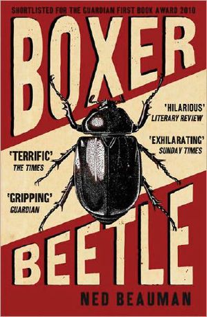 Beetle Boxer