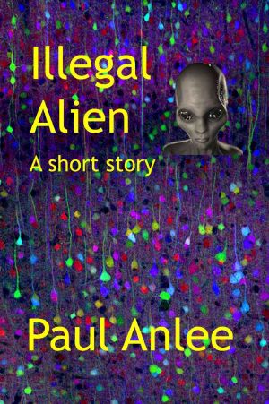 Illegal Alien