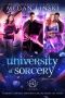 University of Sorcery, Books 4-6