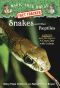 Snakes and Other Reptiles