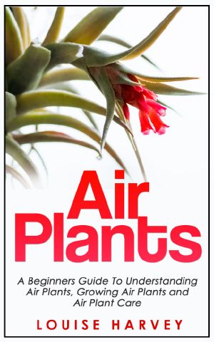 Air Plants · A Beginners Guide to Understanding Air Plants, Growing Air Plants and Air Plant Care (Air Plants, Ornamental Plants, House Plants)