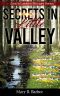 Secrets in Little Valley (Amish Lantern Mystery Series Book 2)