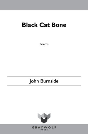 Black Cat Bone