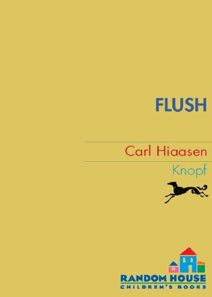 Flush