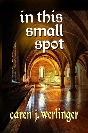 In This Small Spot