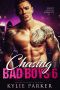 Chasing Bad Boys · A Bad Boy Romance Series (Chasing Bad Boys Book 6)