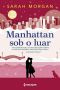 Manhattan sob o luar