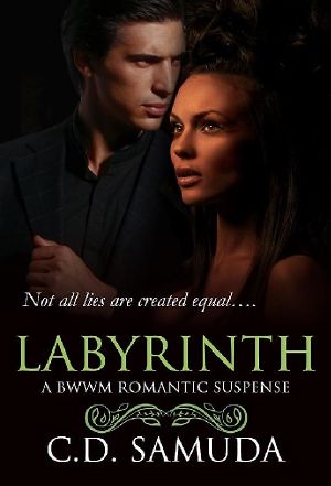 Labyrinth · A BWWM Romantic Suspense