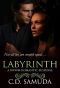 Labyrinth · A BWWM Romantic Suspense