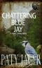 Chattering Blue Jay