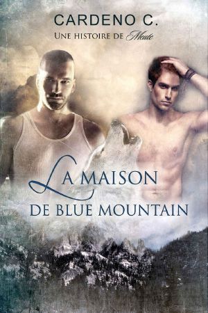 La Maison De Blue Mountain