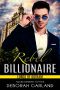 Rebel Billionaire · an Enemies to Lovers Slow Burn Romantic Comedy (Lords of Gotham Book 4)