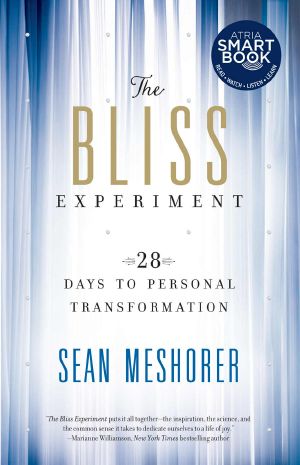 The Bliss Experiment · 28 Days to Personal Transformation