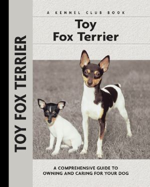 Toy Fox Terrier