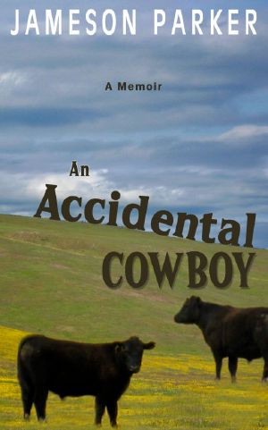 An Accidental Cowboy