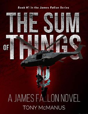 The Sum of Things (The James Fallon Series Book 1)