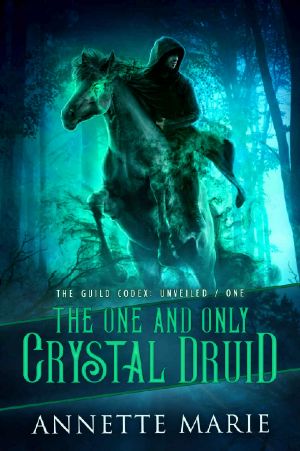 The One and Only Crystal Druid (The Guild Codex: Unveiled Book 1)