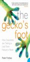 The Gecko's Foot