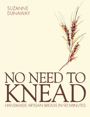 No Need to Knead