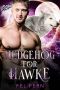 Hedgehog for Hawke: A MM Mpreg Shifter Romance