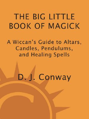 The Big Little Book of Magick