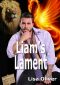 Liam's Lament (Arrowtown series Book 3)