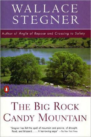 Big Rock Candy Mountain