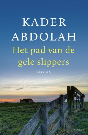 Het Pad Van De Gele Slippers