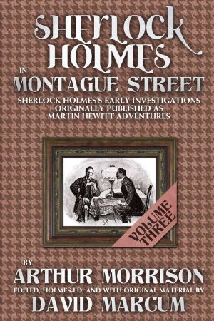 Sherlock Holmes In Montague Street Volume 3