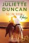 Slow Ride Home · A Mature-Age Christian Romance (A Sunburned Land Book 4)