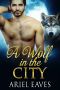 A Wolf in the City · MM Wolf Shifter Mpreg Romance