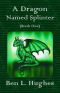 A Dragon Named Splinter (Dragon Adventure Series · Book One)