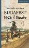 Budapest Senza Il Danubio