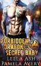 Forbidden Dragon's Secret Baby (Damaged Pack Shifters Book 5)