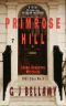 Primrose Hill: A 1920s Historical Murder Mystery (Sophie Burgoyne Mysteries Book 5)