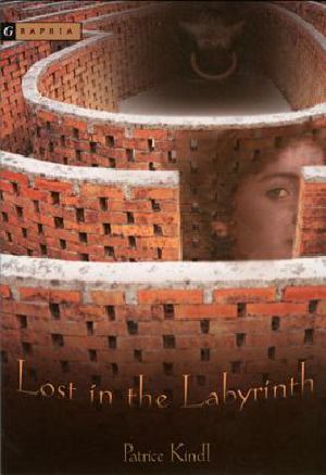 Lost in the Labyrinth