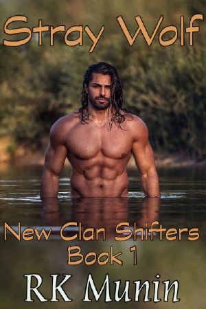 Stray Wolf: New Clan Shifters, Book 1