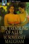 The Trembling of a Leaf