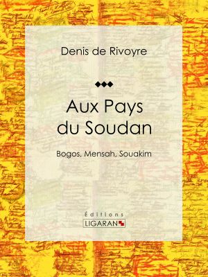 Aux Pays Du Soudan