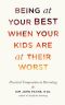 Being at Your Best When Your Kids Are at Their Worst, Practical Compassion in Parenting