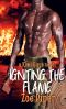 Igniting the Flame (Kiwi Guys Book 3)