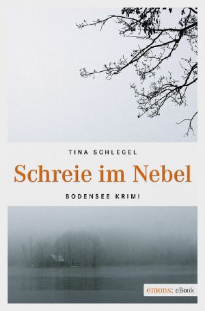 Schreie im Nebel (Bodensee Krimi)