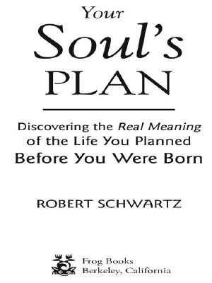 Your Soul's Plan · Discovering the Real Meaning of the Life You Planned Before You Were Born