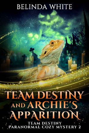 Team Destiny and Archie's Apparition (Team Destiny Paranormal Cozy Mystery Book 2)