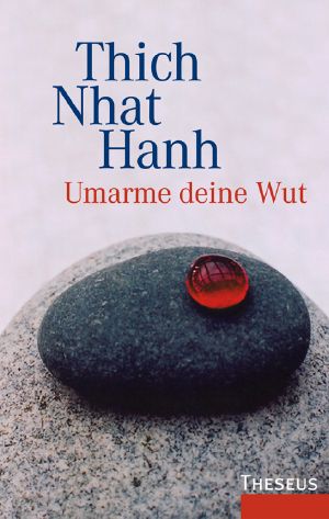 Umarme deine Wut
