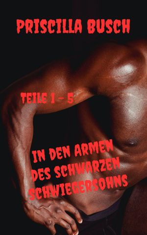 In den Armen des schwarzen Schwiegersohns · Teile 1 - 5