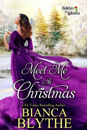 Meet Me at Christmas (Holidays for Spinsters Book 3)