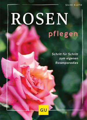 Rosen pflegen